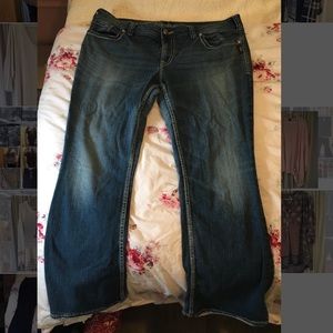 Silver Brand Jeans